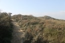 direction : la plage de fort Mahon